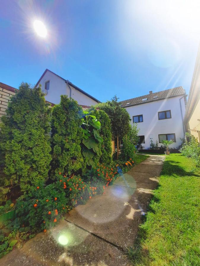 Apartmani Sunflower Сремськи Карловци Екстер'єр фото