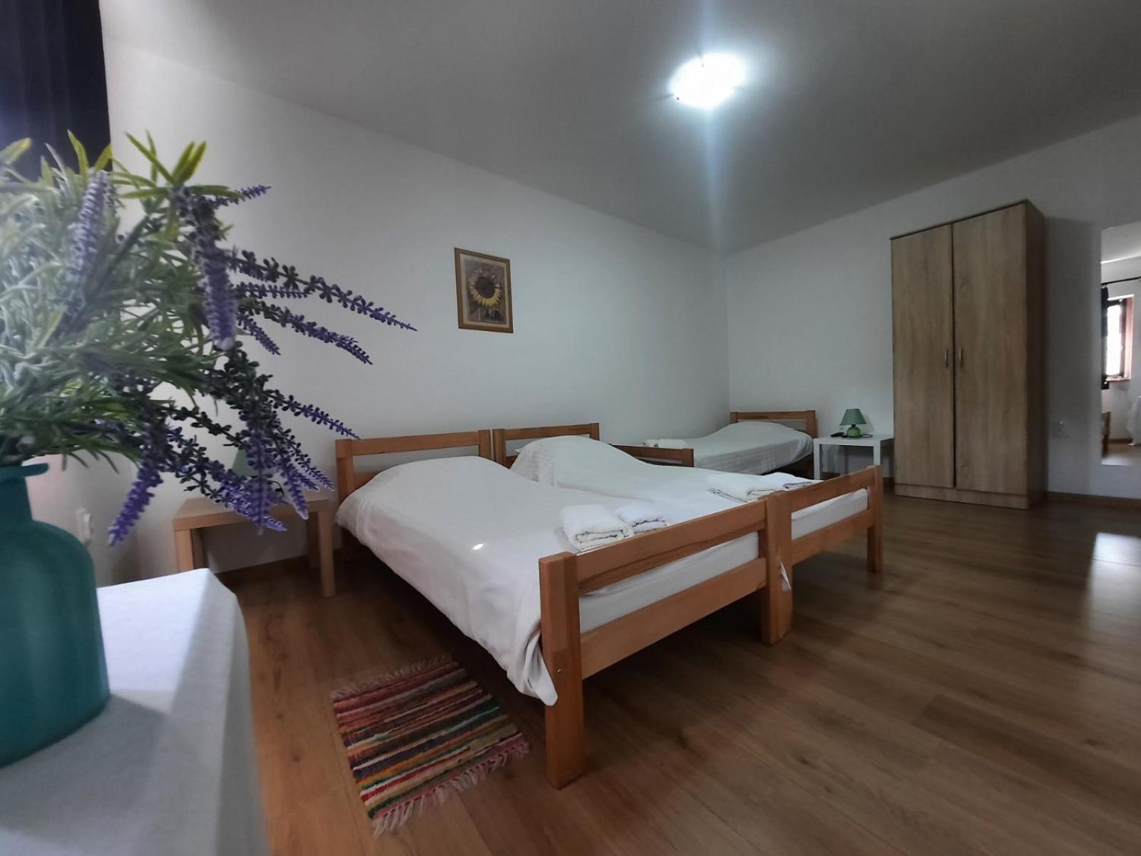 Apartmani Sunflower Сремськи Карловци Екстер'єр фото