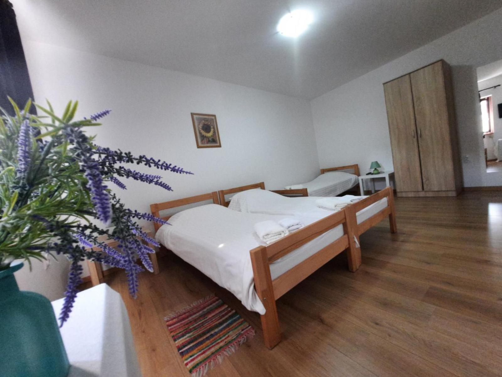 Apartmani Sunflower Сремськи Карловци Номер фото