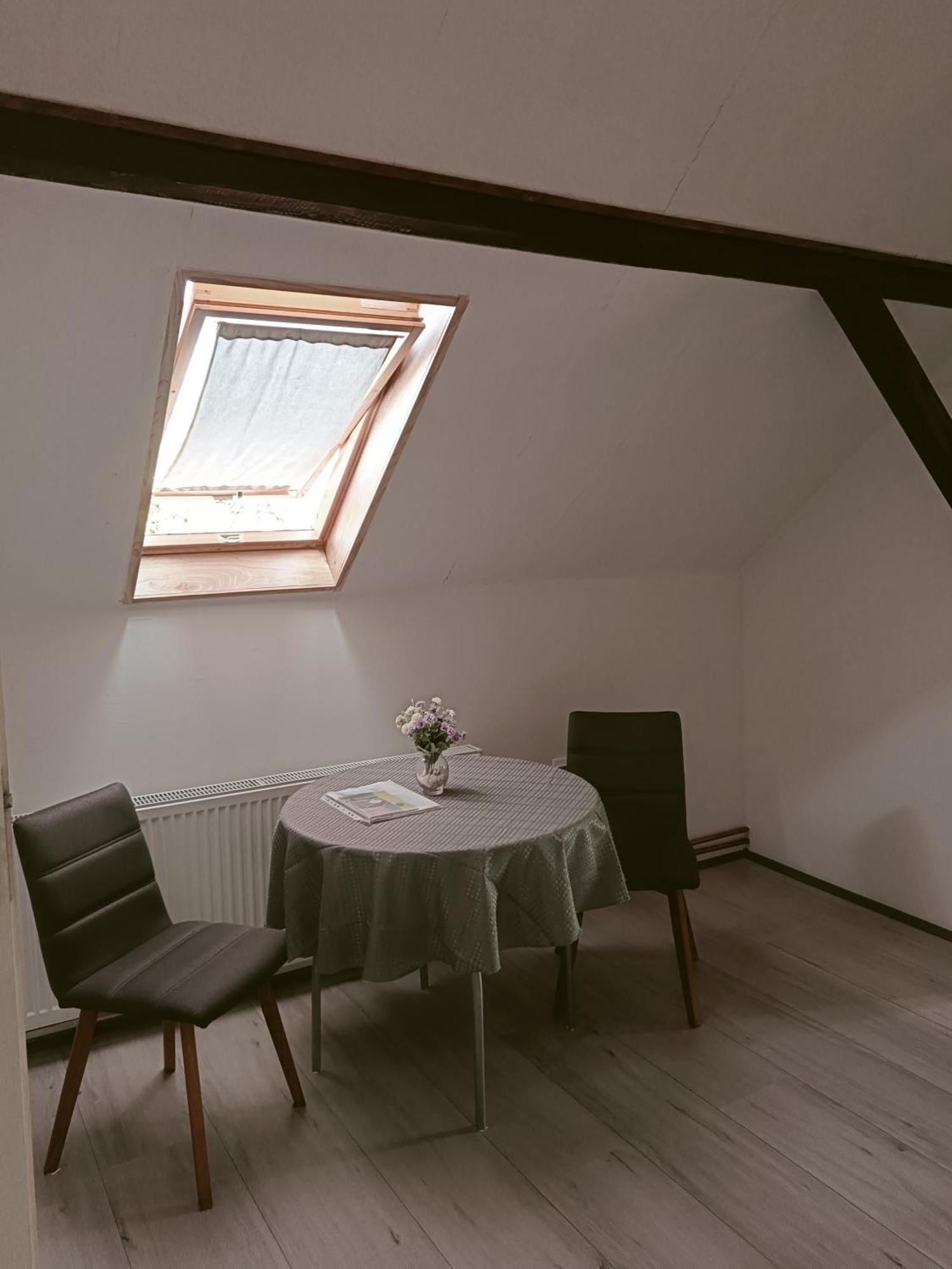 Apartmani Sunflower Сремськи Карловци Екстер'єр фото