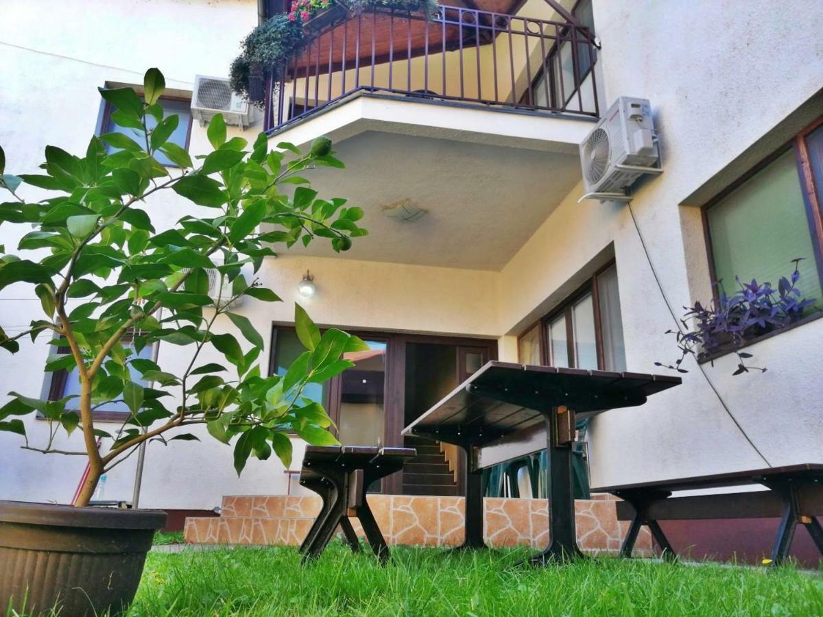 Apartmani Sunflower Сремськи Карловци Екстер'єр фото
